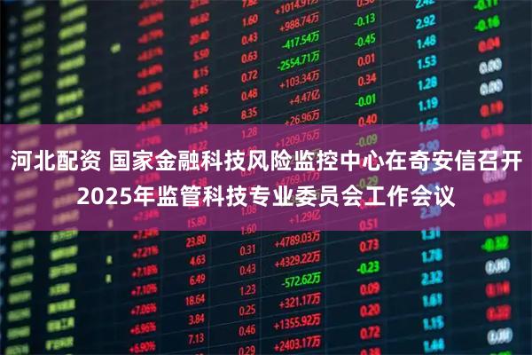 河北配资 国家金融科技风险监控中心在奇安信召开2025年监管科技专业委员会工作会议